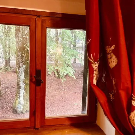 Apartmán La Quattordici